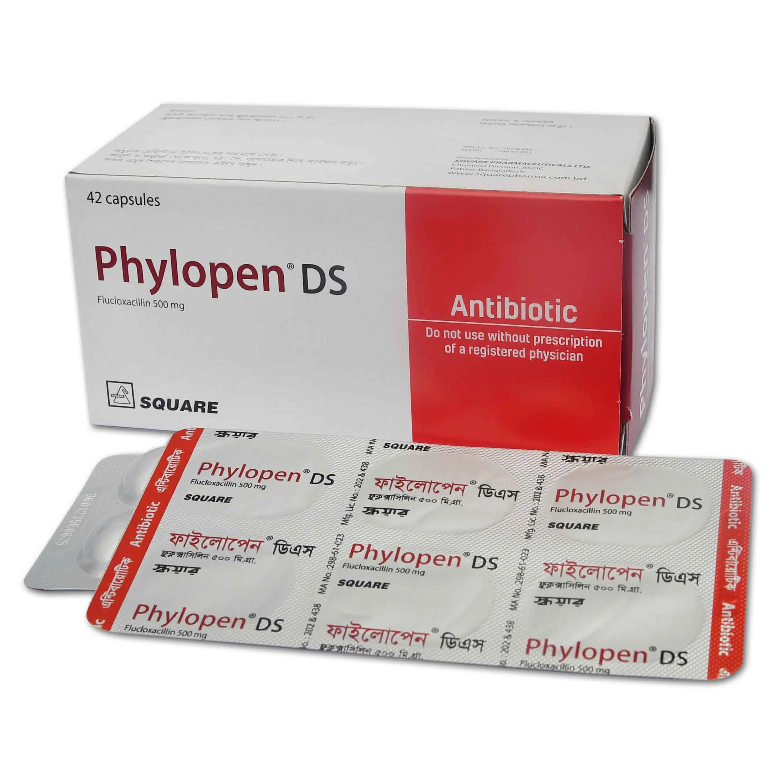 Phylopen DS